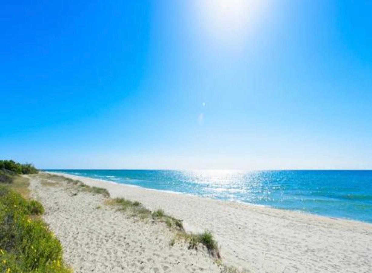 Appartements Bord De Mer - Acces Prive A La Plage Prunete Luaran gambar